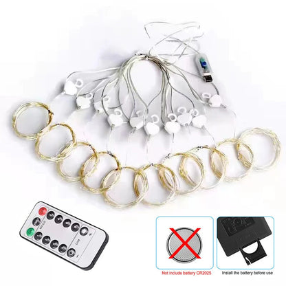 Remote Fairy Curtain Lights